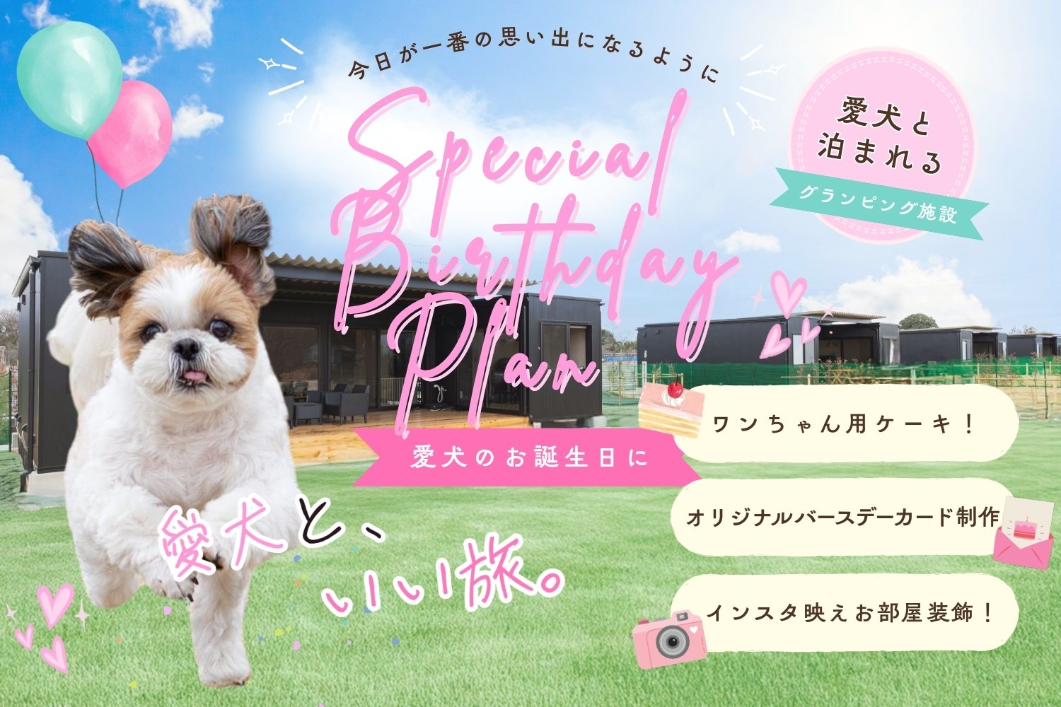 Dog Birthday Plan