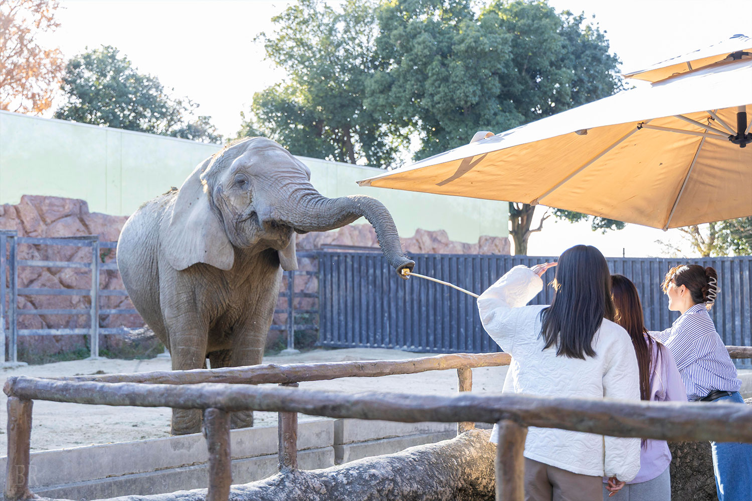 Discounted Tickets for Tobu Zoo