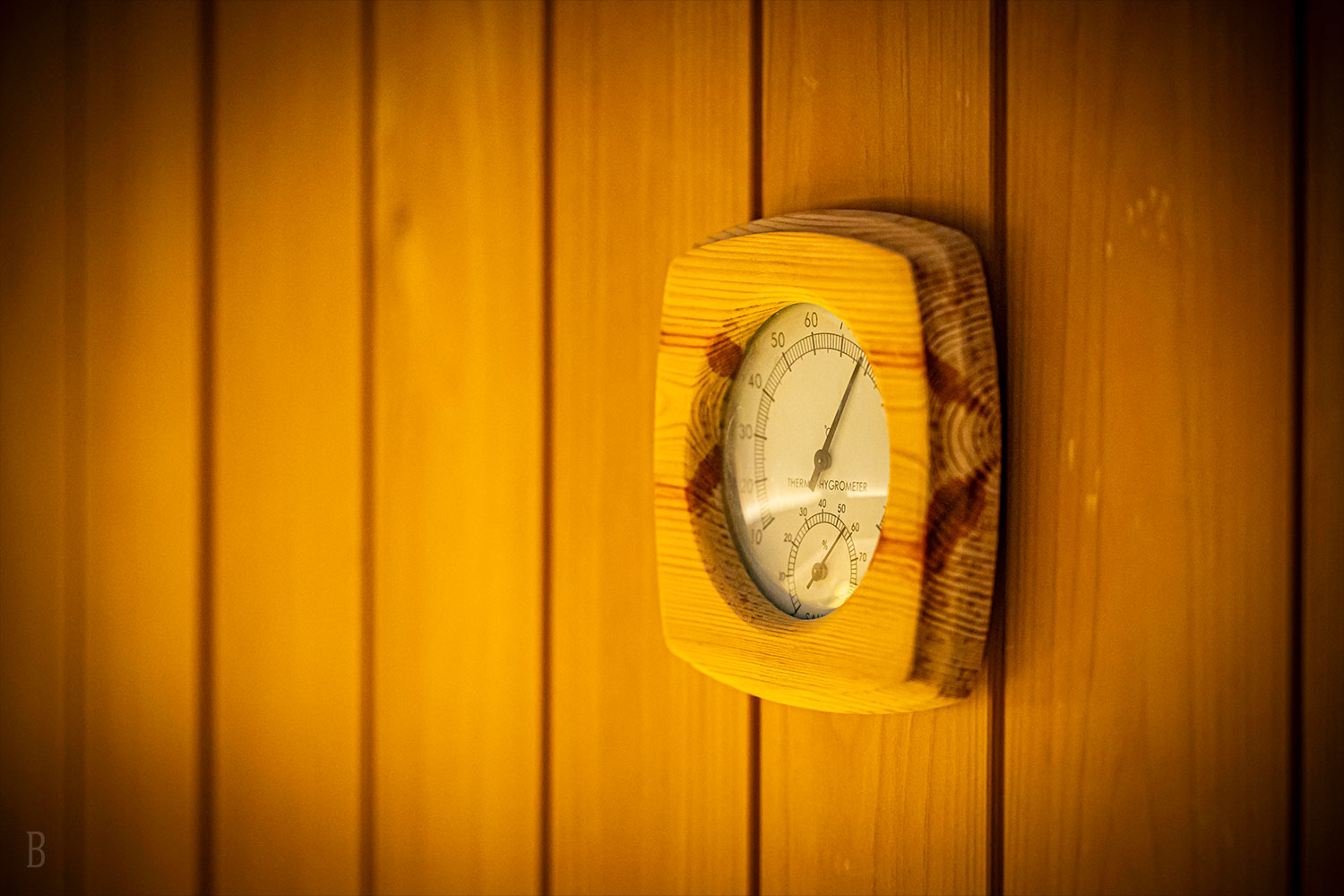 Rooms with Private Sauna